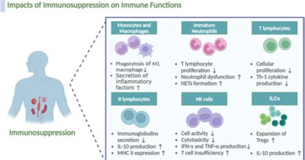 When Was Immunosuppression Discovered?