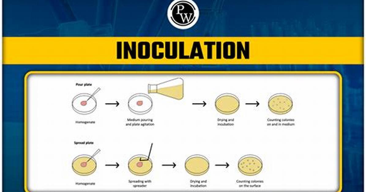 When Was Inoculation Invented?