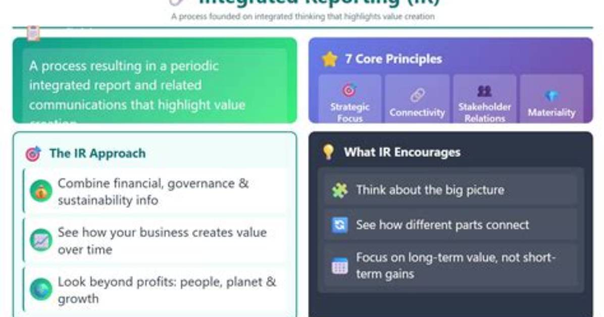 When Was Integrated Reporting Introduced?
