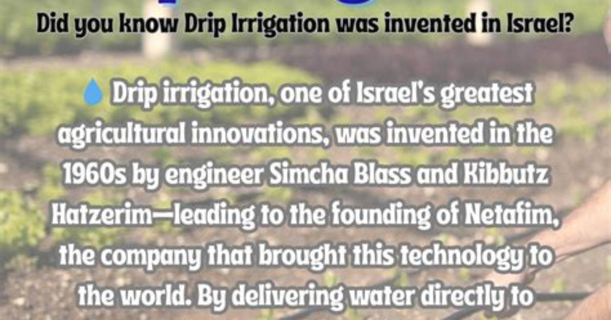 When Was Irrigation Invented - Lisbd-Net. Com