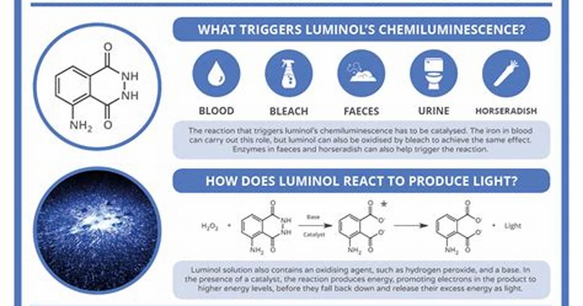 When Was Luminol First Used?