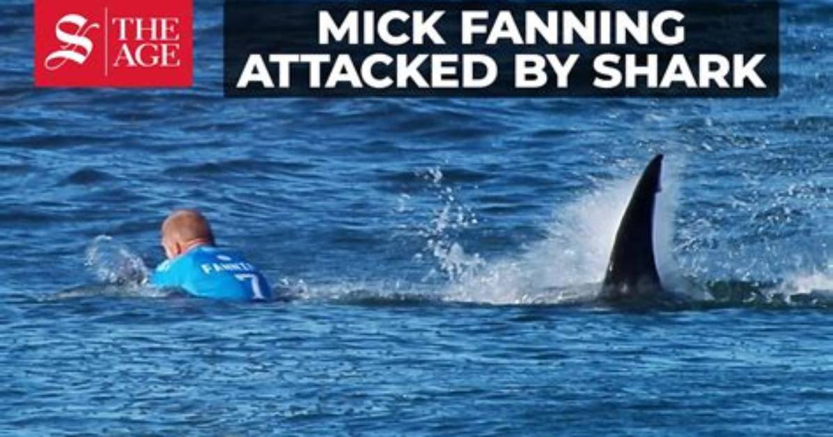 When Was Mick Fanning Shark Attack?