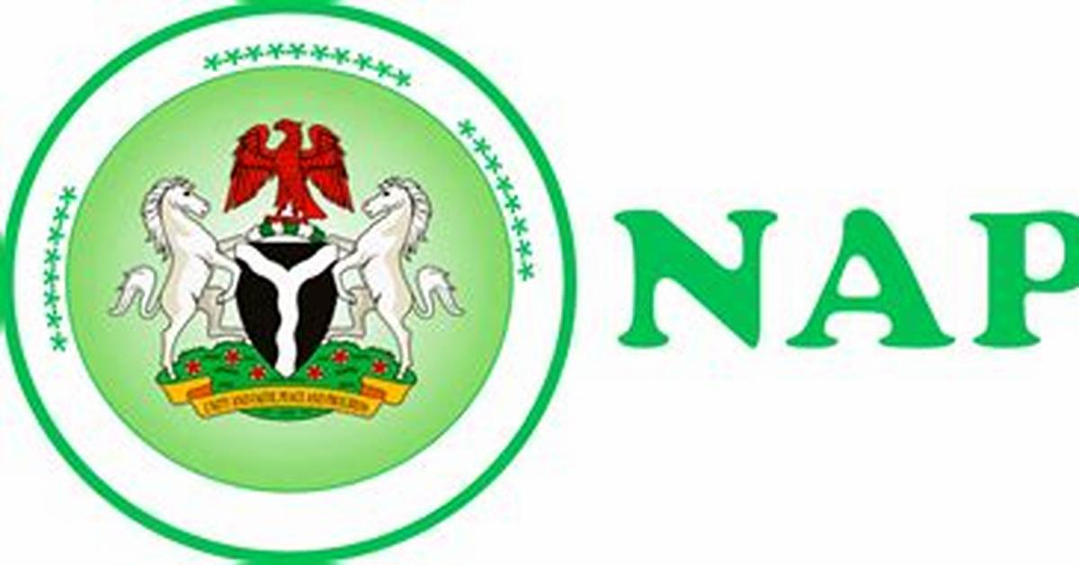 When Was Napep Established?