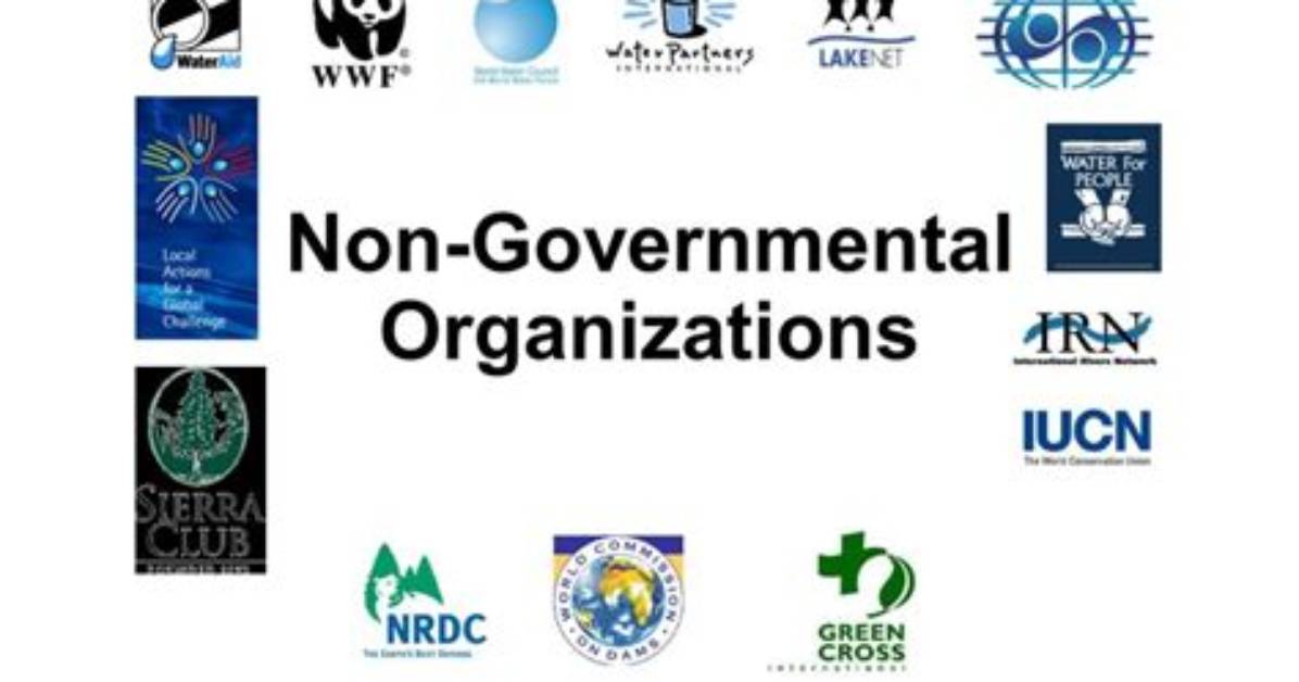 When Was Non Governmental Organization Created?