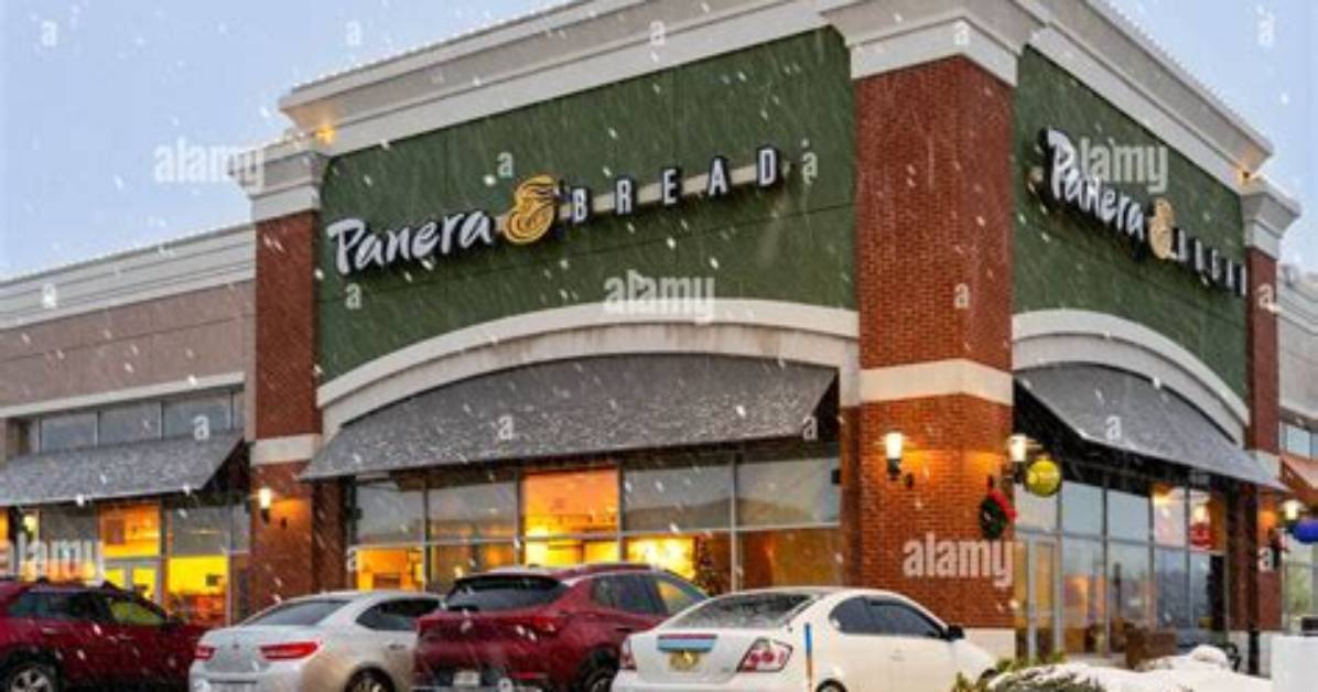 When Was Panera Founded?
