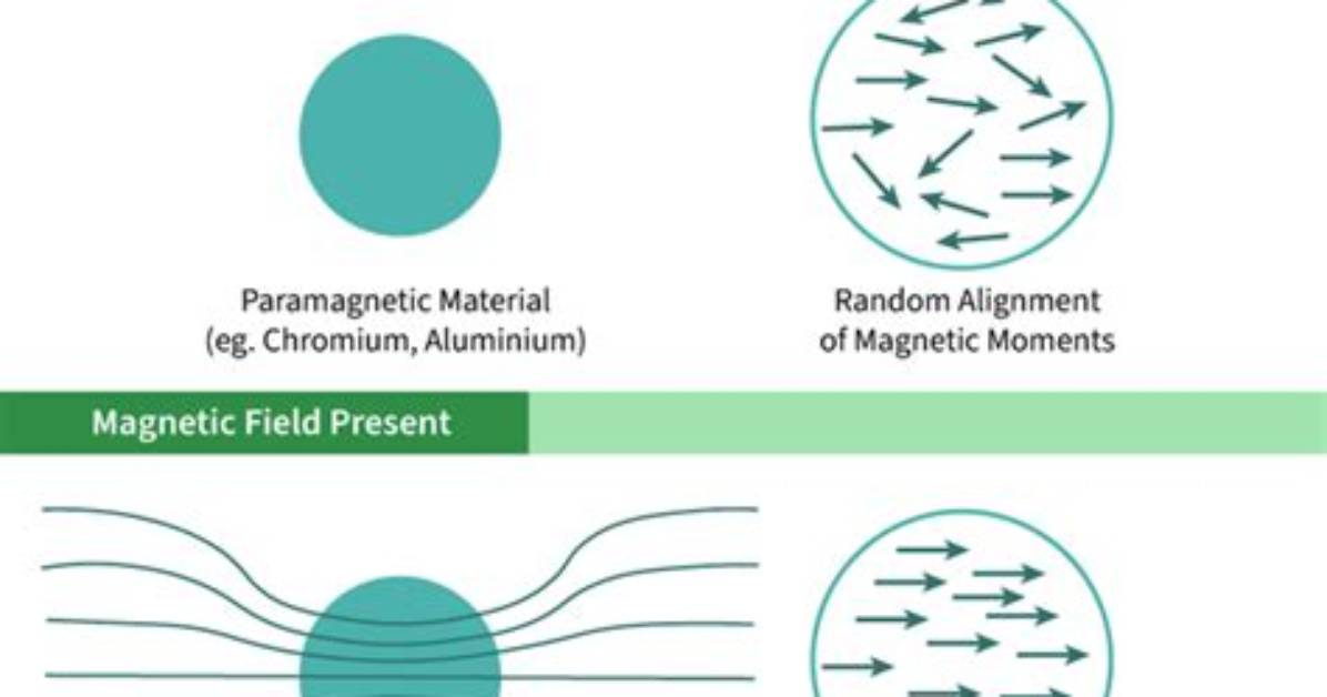 When Was Paramagnetism Discovered?