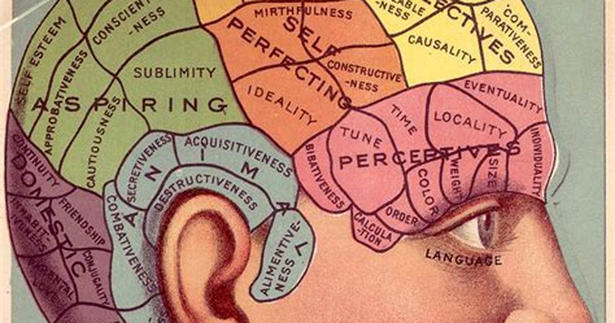 When Was Phrenology Discovered?