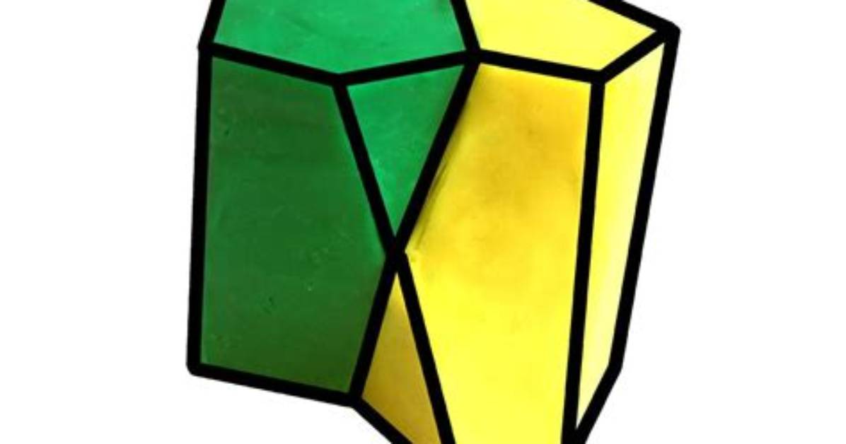 When Was Scutoid Discovered?