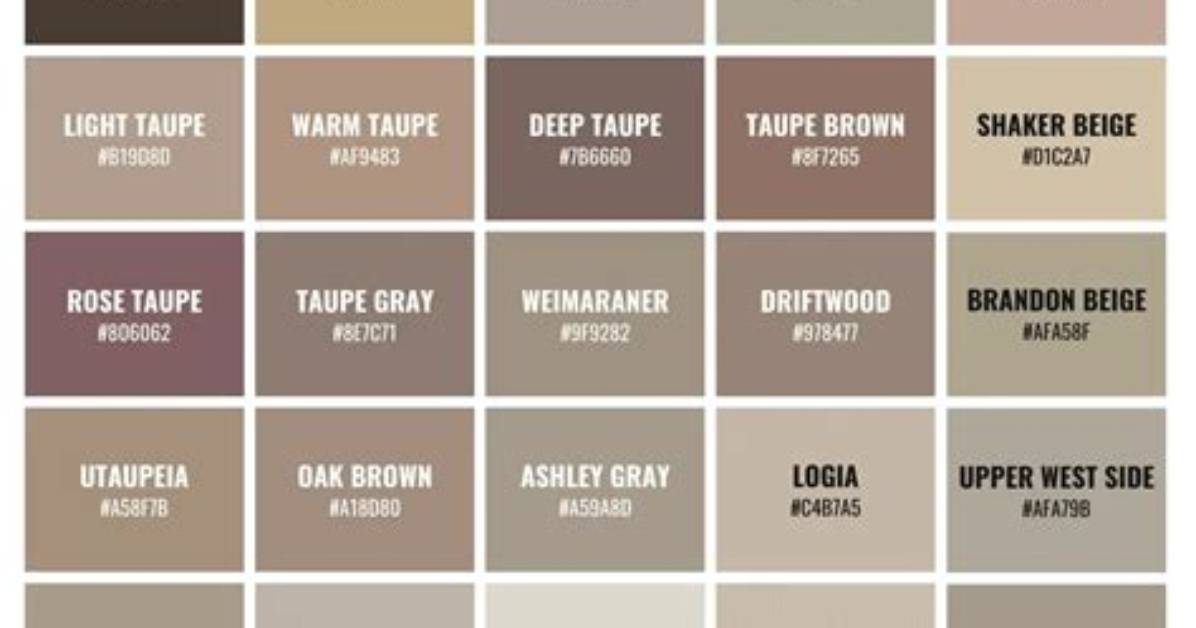 When Was Taupe First Used?