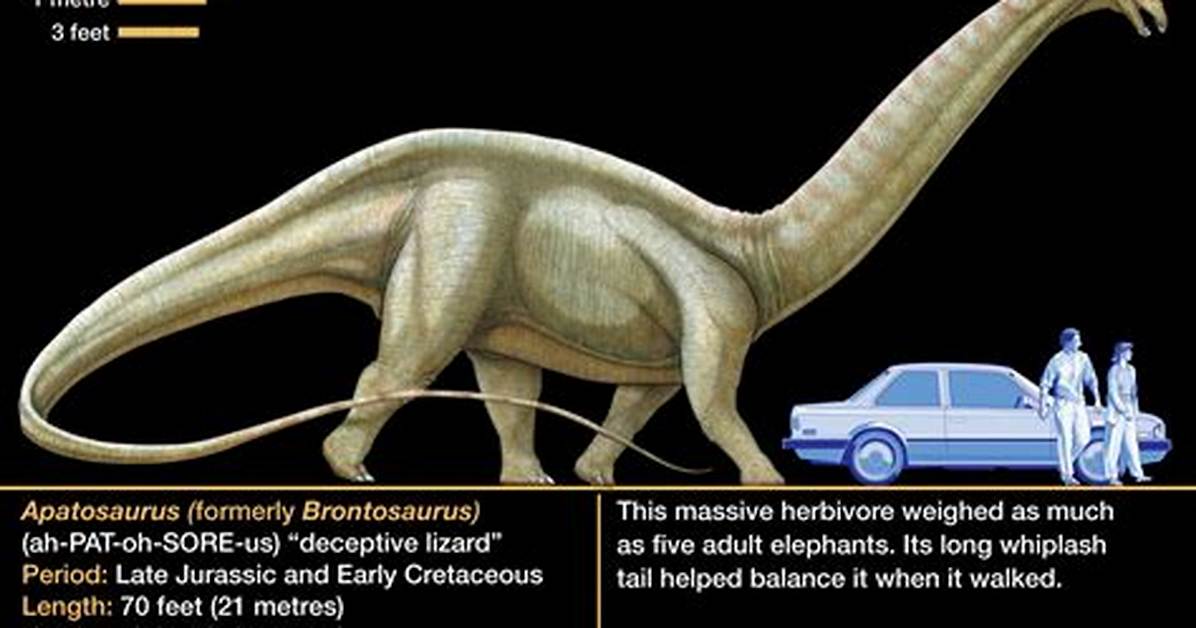 When Was the Apatosaurus Live?