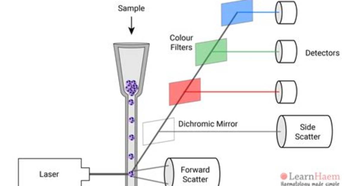 When Was the Cytometer Invented?