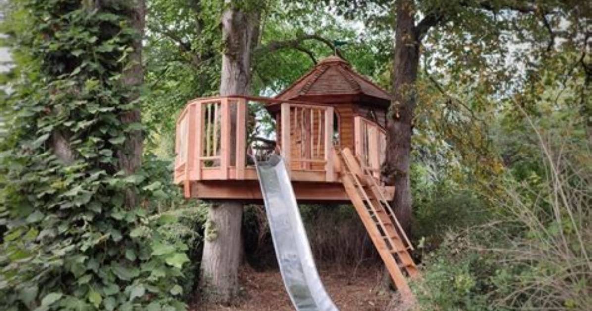 When Was the First Tree House Built?