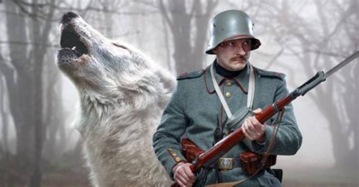 When Was Wolf War 2?
