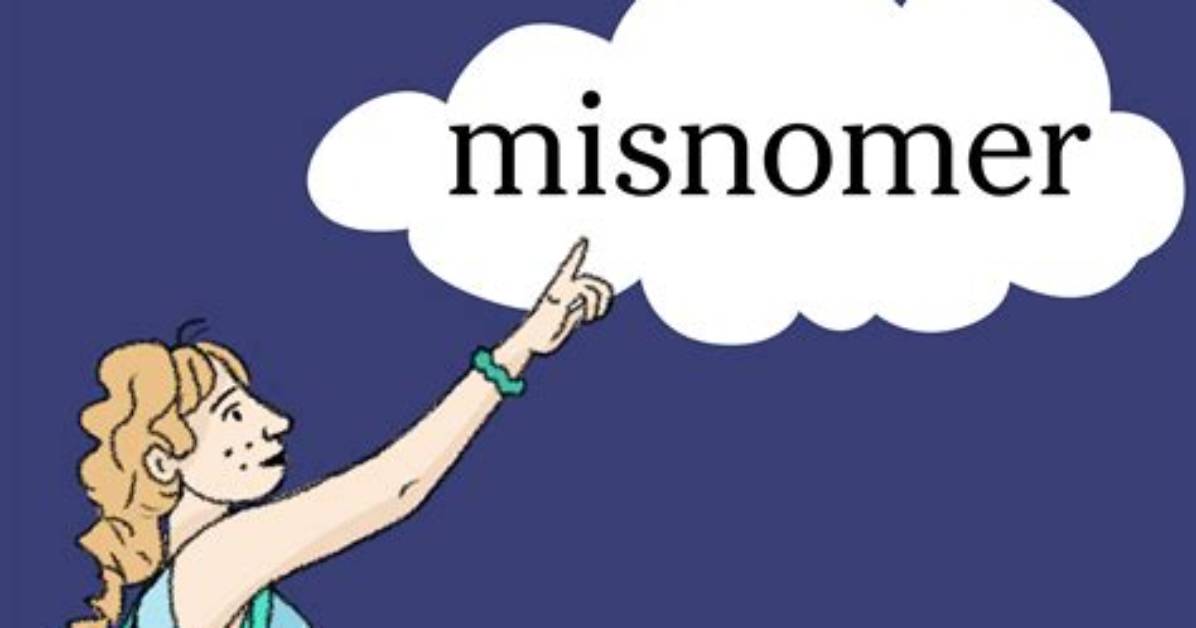 When We Use Misnomer?