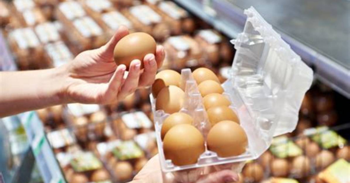 When Were Egg Cartons Invented?
