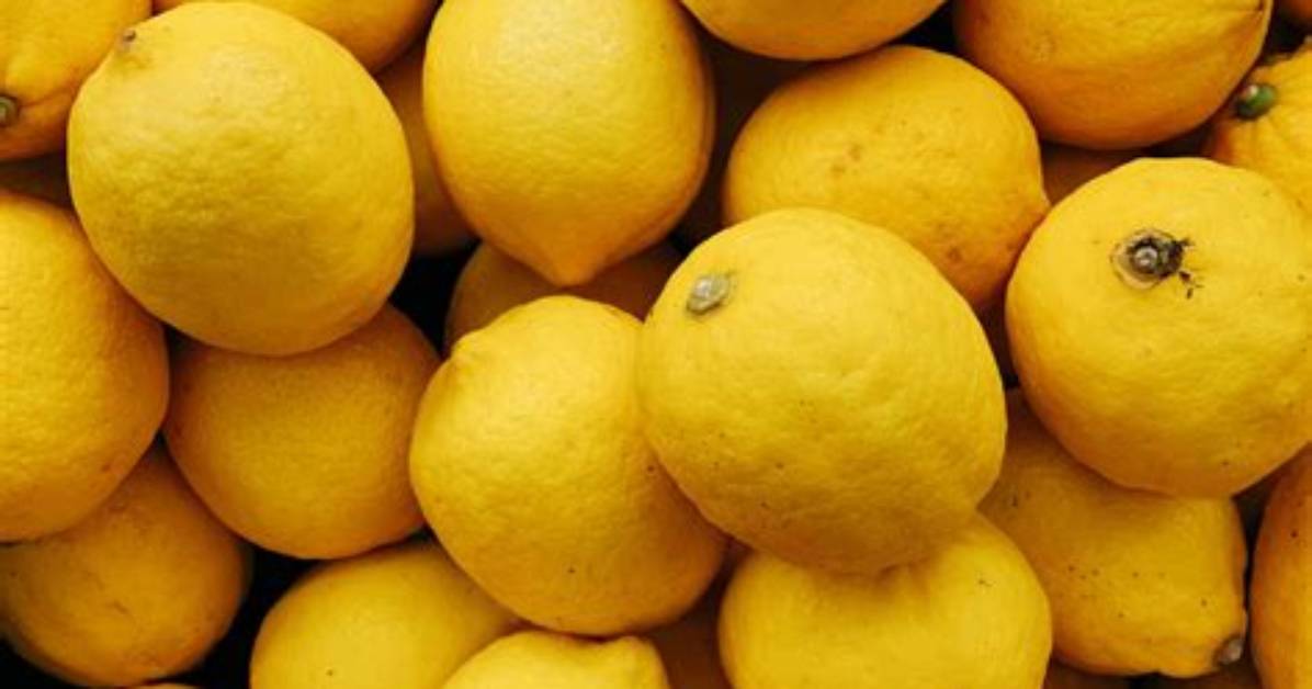 When Were Lemons Invented?