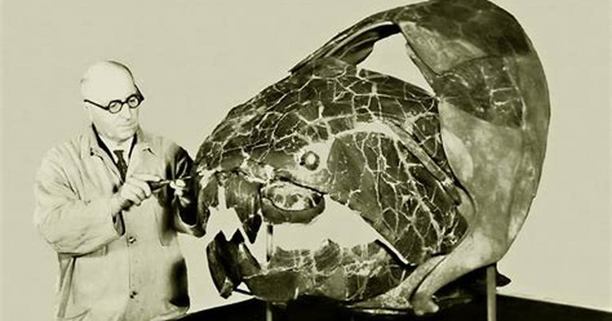 When Were Placoderms Invented?