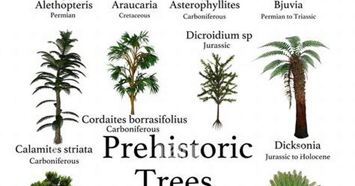 When Were Trees Discovered?