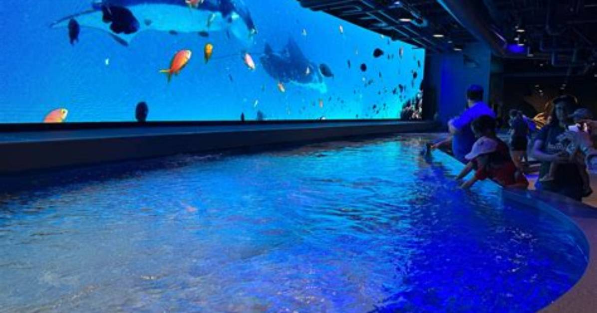 When Will Audubon Aquarium Open?