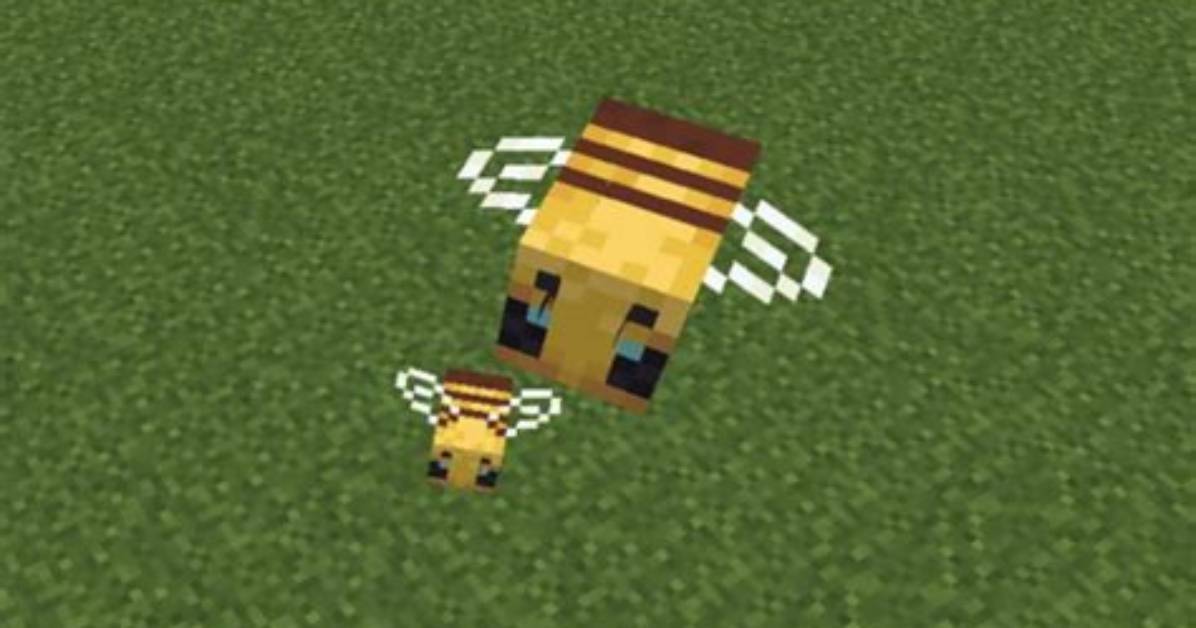 When Will Bees Be Added to Minecraft