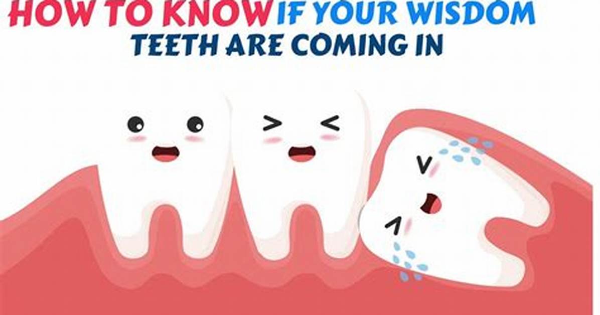 When Wisdom Tooth Is Coming?