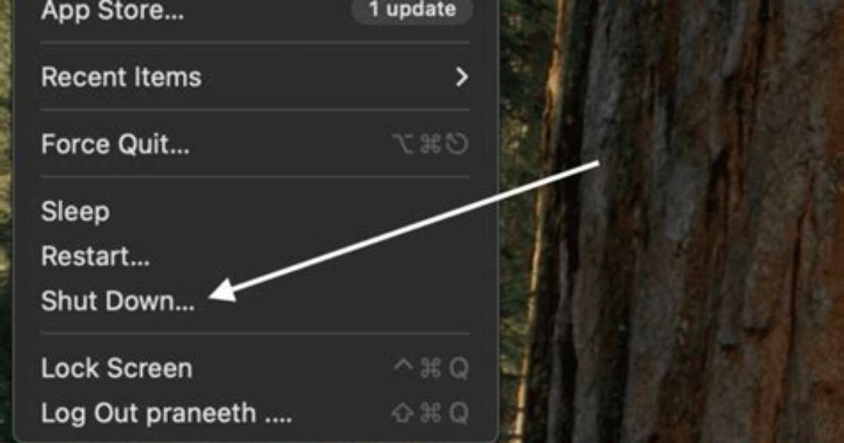Whenever Charles Is Shut Down, the macOS Proxy Auto Turned On. How to Fix That?