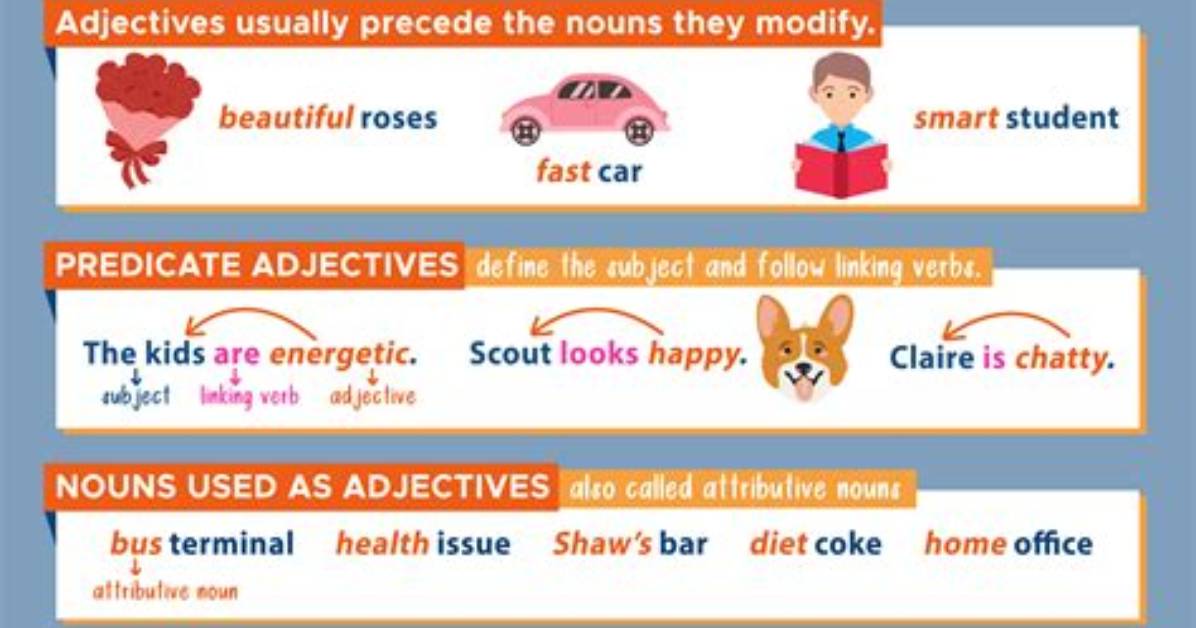 Where an Adjective Modifies a Noun?