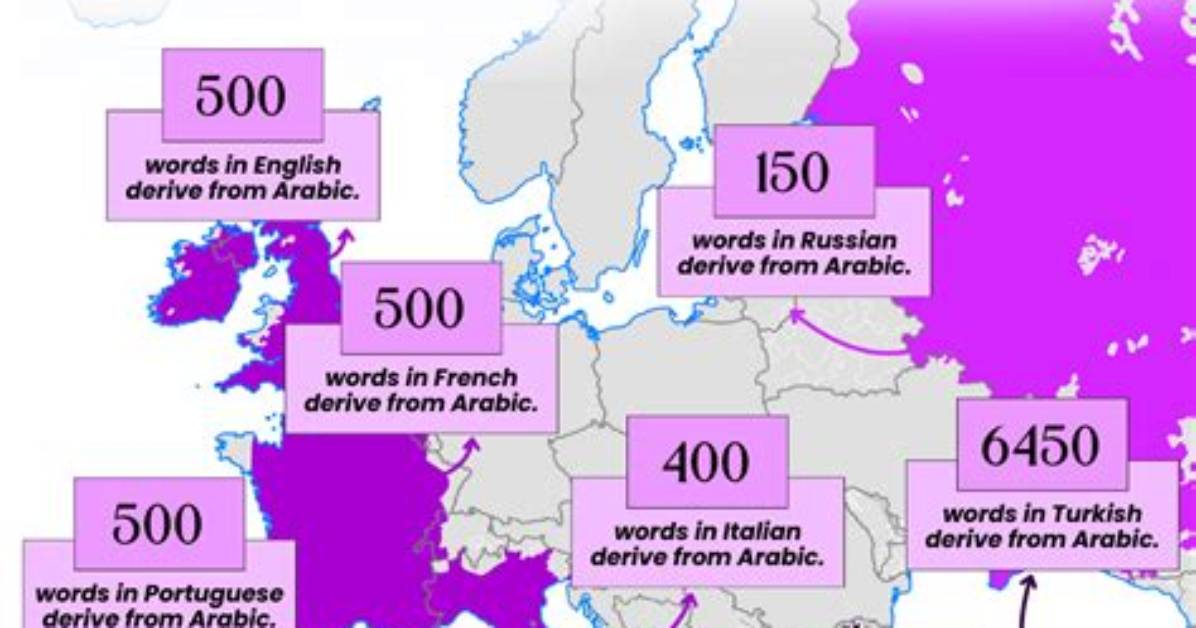 Where Arabic Language Come from?