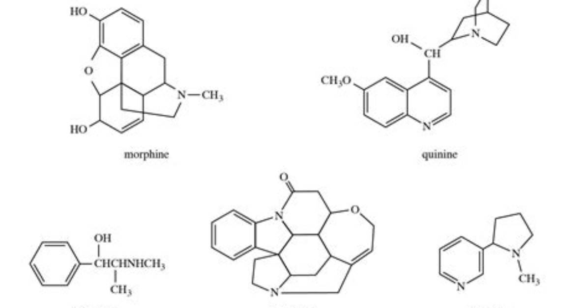 Where Are Alkaloids Located?