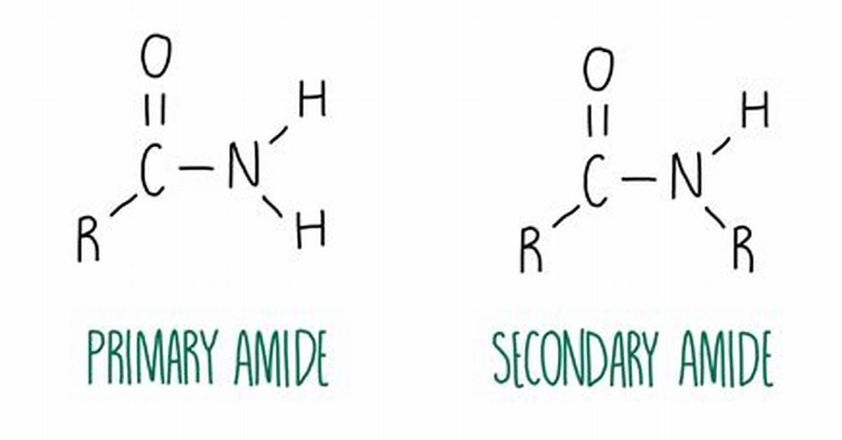 Where Are Amides Found?