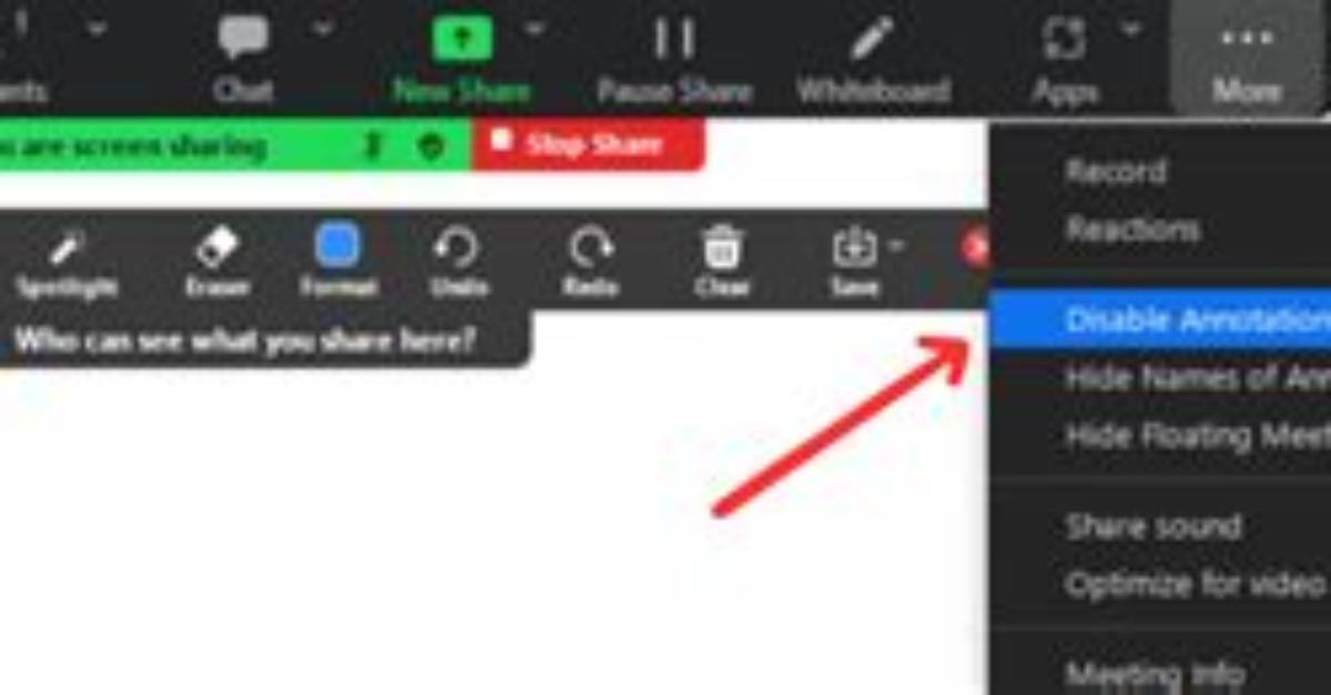 Where Are Annotations in Zoom?