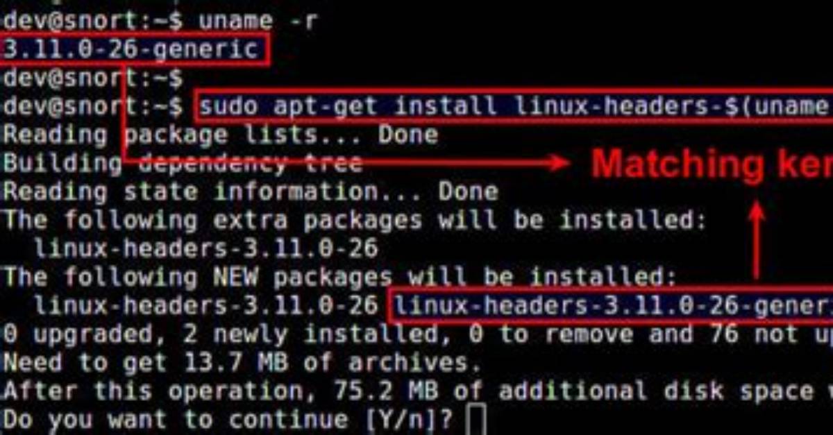 Where Are C Headers in Linux?
