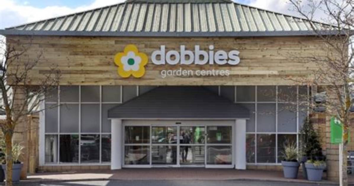Where Are Dobbies Stores?