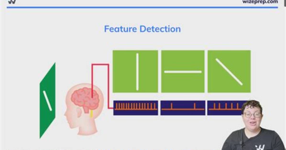 Where Are Feature Detectors