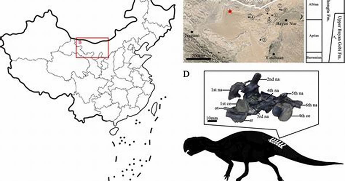 Where Are Fossil Found? - Lisbd-Net. Com