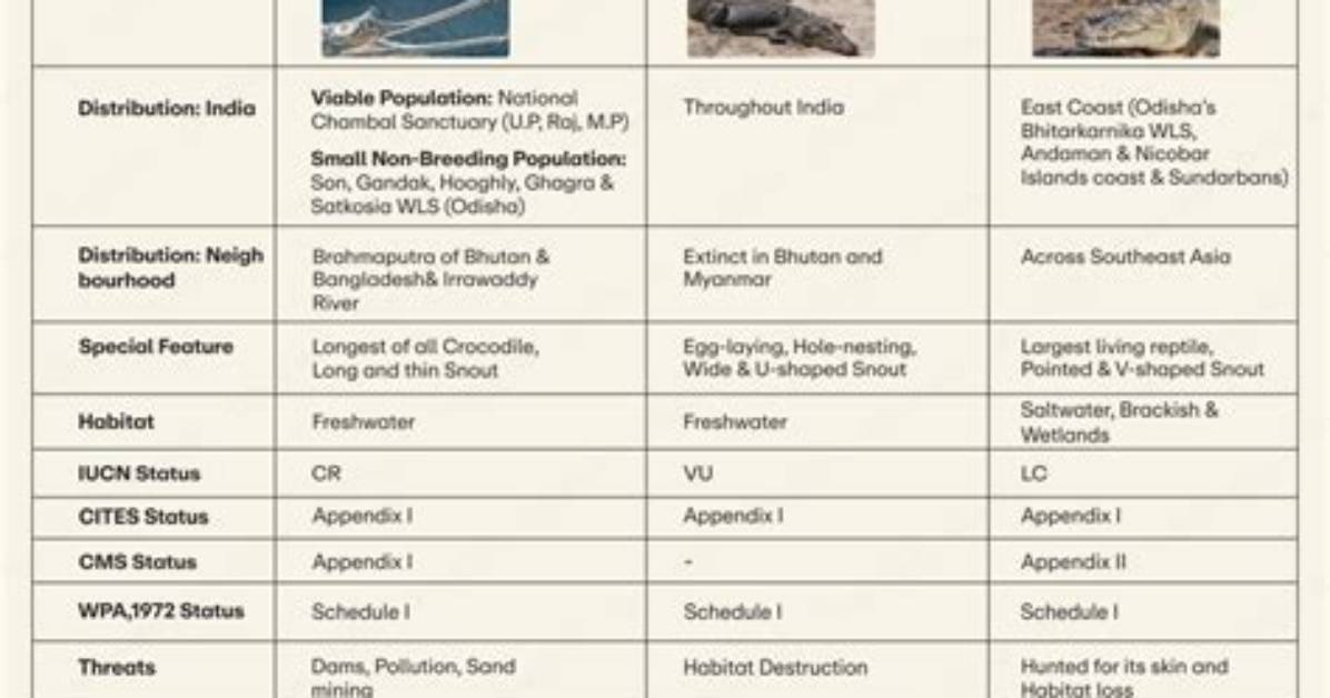 Where Are Gharials Found - Lisbd-Net. Com