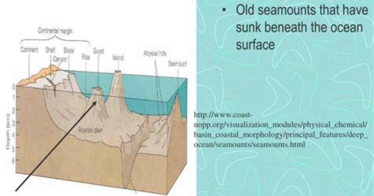 Where Are Guyots Found?