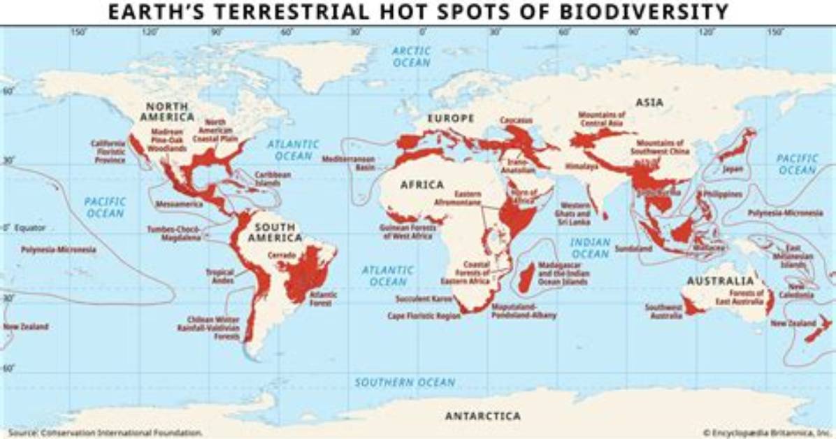 Where Are Hotspots Located - Lisbd-Net. Com