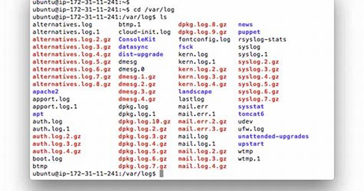 Where Are Mail Logs in Linux?