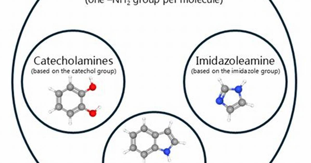 Where Are Monoamines Produced