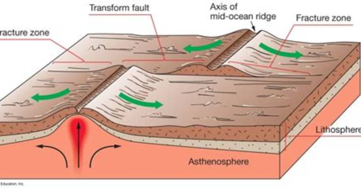 Where Are Most Transform Faults Found?