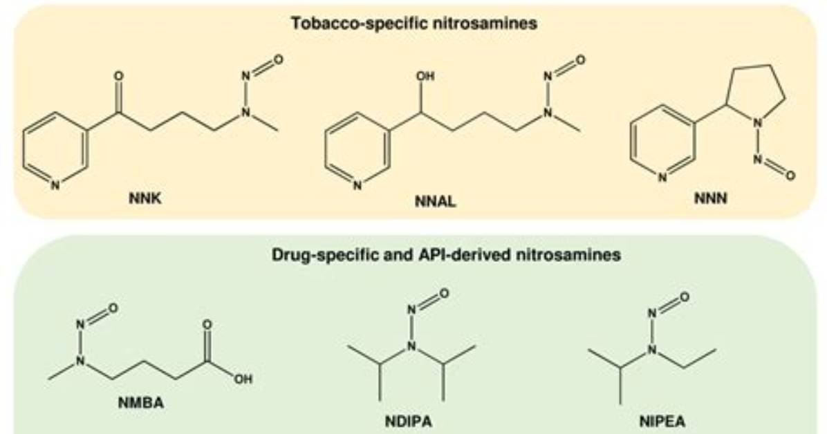 Where Are Nitrosamines Found?