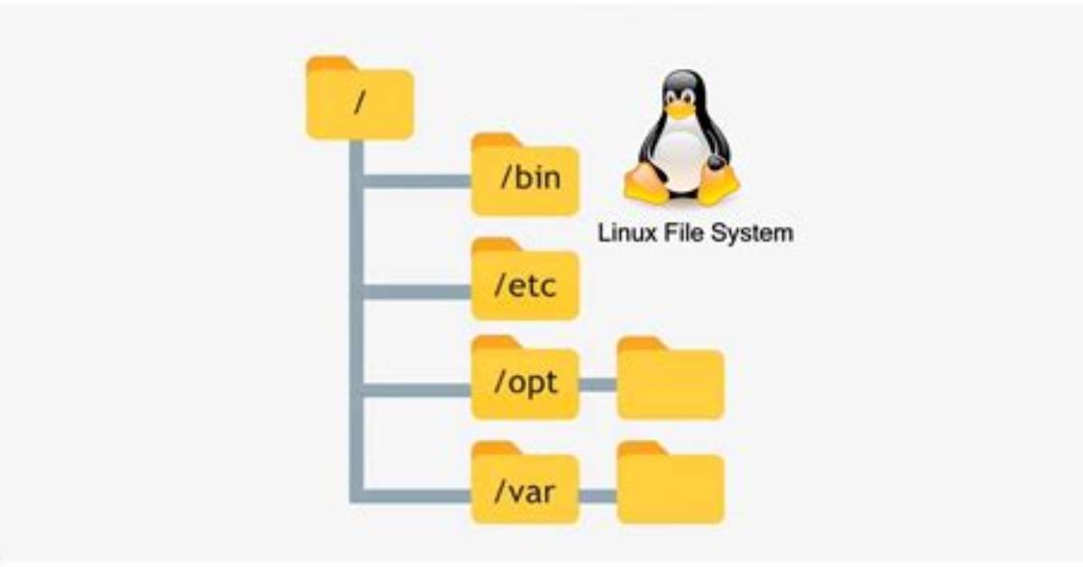 Where Are Php Files Stored in Linux?