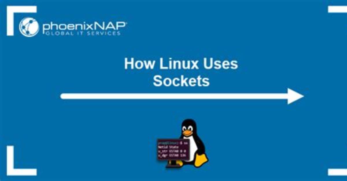 Where Are Sockets Stored Linux?