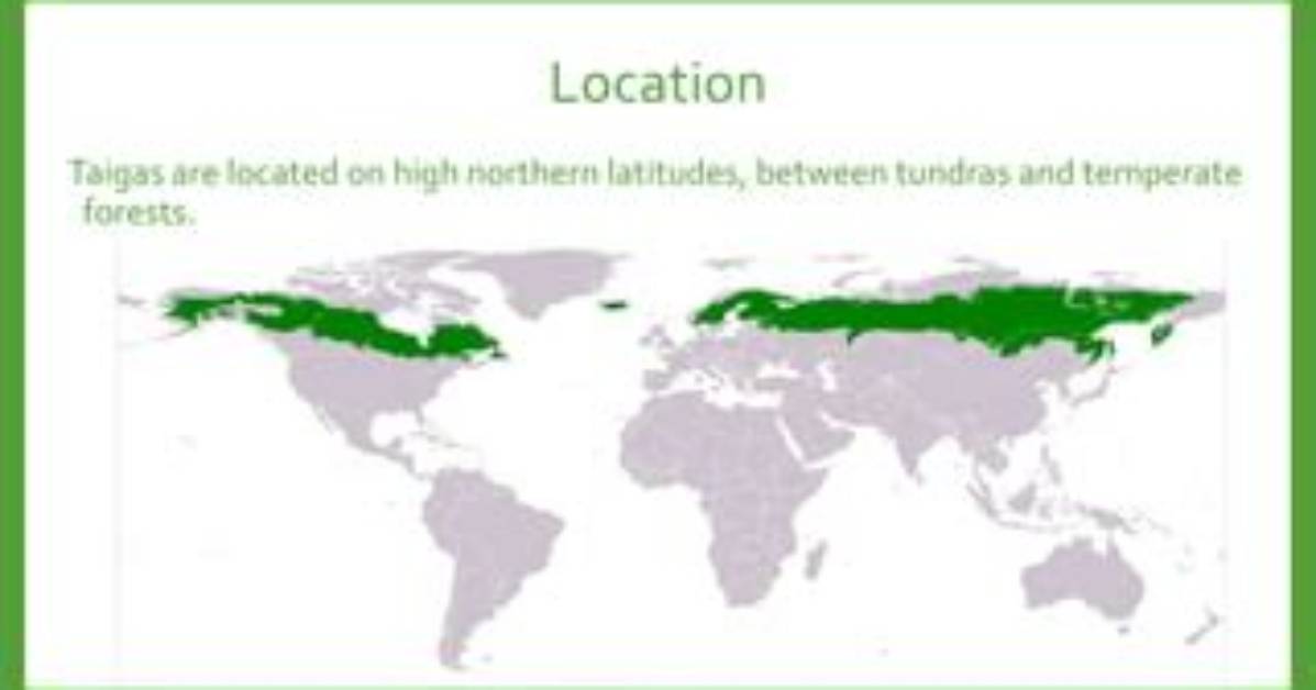 Where Are Some Taigas Located?