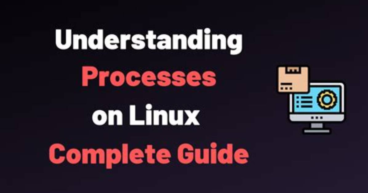 Where Are System Processes Linux?