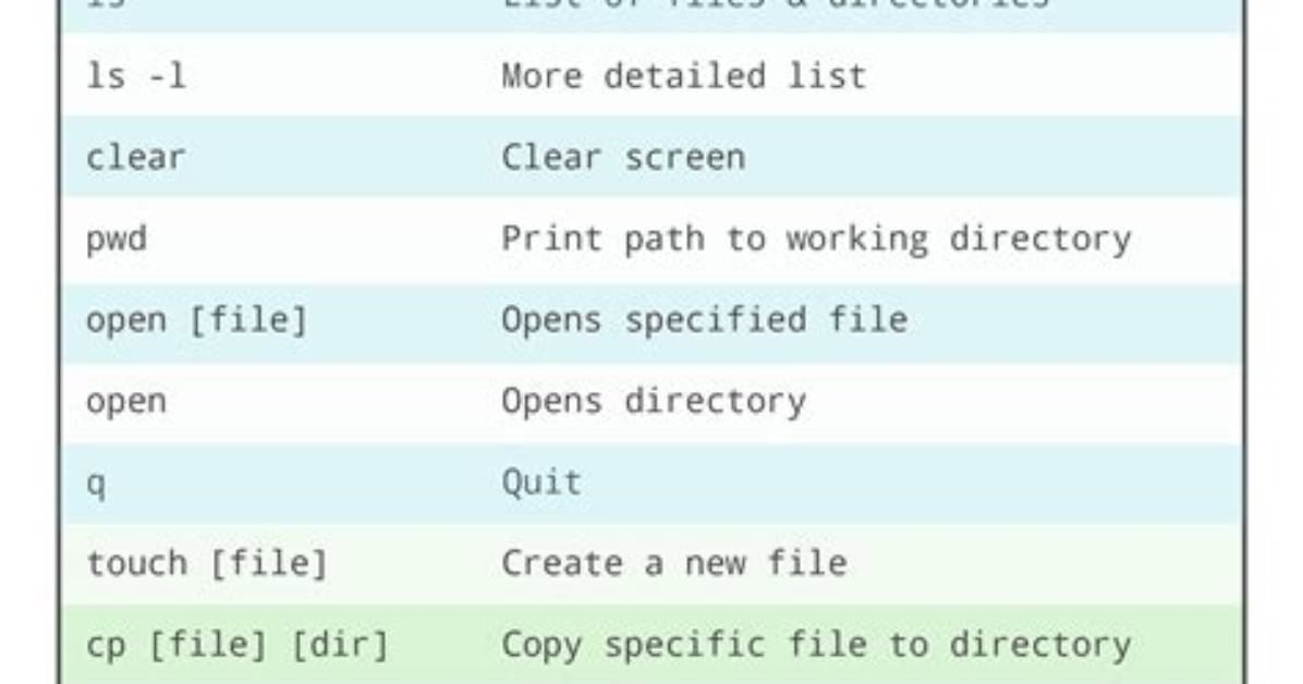 Where Are the Basic Commands Are Stored in Linux?