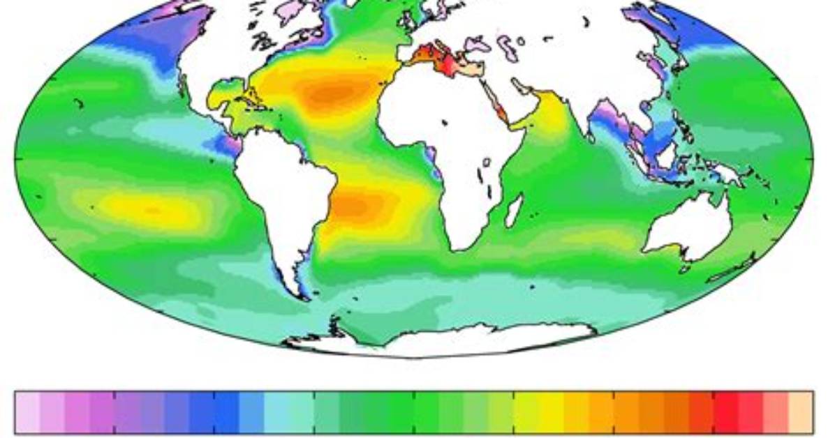 Where Are the Highest Ocean Surface Salinities Found?