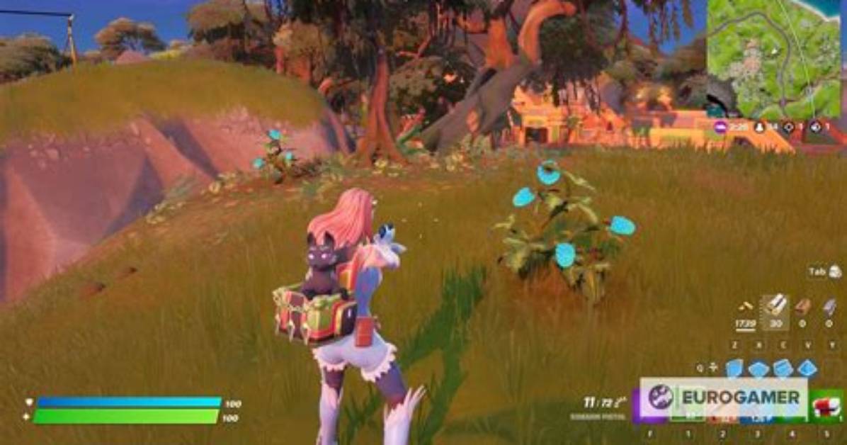 Where Are the Klomberries in Fortnite