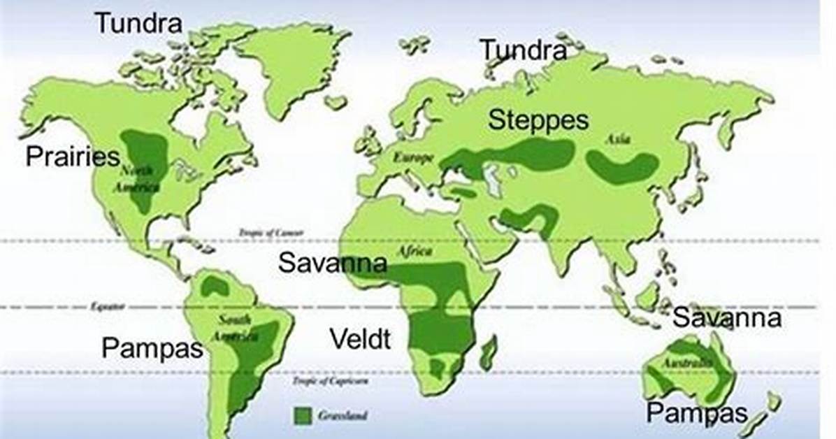 Where Are the Velds Located
